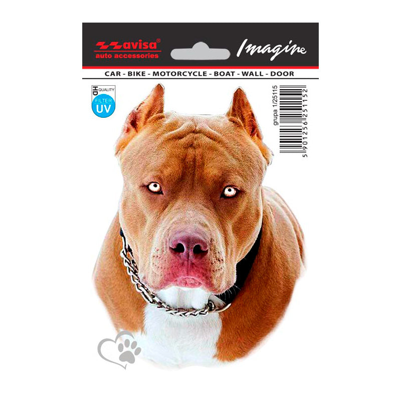 Avisa, Tarrat, Pit Bull, 11x14,5cm